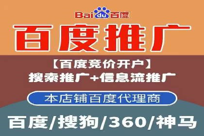 百度竞价推广运营实战技巧与经典案例剖析